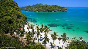 Koh Samui Hotels, Samui Beachfront, Chaweng Hotel, First Bungalow, Hotel Samui, rental Samui, booking room, Thailand, full moon party, koh phangan, koh tao samui festival samui event samui wea one day trip samui