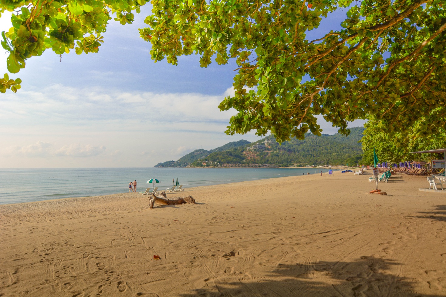 Koh Samui Hotels, Samui Beachfront, Chaweng Hotel, First Bungalow, Hotel Samui, rental Samui, booking room, Thailand, full moon party, koh phangan, koh tao samui festival samui event samui wea (10)-2